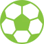football icon