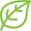 leaf icon