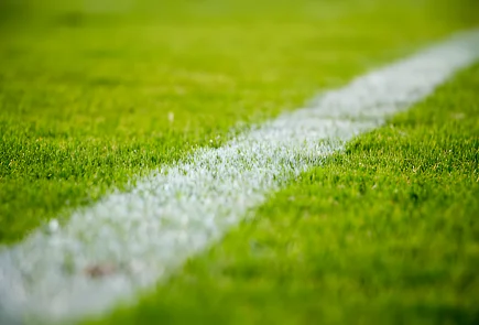 Installation of Artificial Turf on Grass